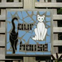 2 Cats
