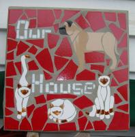 3 Cats + Dog
