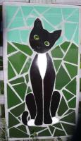 Sitting cat
