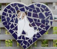 Jack Russel Puppy 
