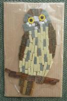 Morepork kitset
